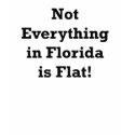 Not Everything in Florida is Flat T-Shirt by noveltytees Not Everything in Florida is Flat T-Shirt