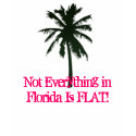 Not Everything in Florida Is FLAT! t-shirts by Priscilla48 Not Everything in Florida Is FLAT! t-shirts