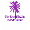 Not Everything inFlorida im Florida is Flat t-shirts by Priscilla48 Not Everything inFlorida im Florida is Flat t-shirts