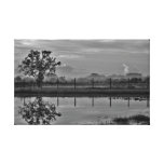 Not Everything is Black & White Canvas Print