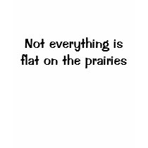 Not everything is flat on the prairies t-shirts by ReginaSask Not everything is flat on the prairies t-shirts
