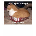 NOT gain weight,, Box shrink t-shirts