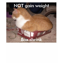 NOT gain weight,, Box shrink t-shirts by JirelCahil NOT gain weight,, Box shrink t-shirts