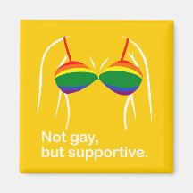 Not gay but supportive bra.png magnets