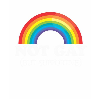 NOT GAY TSHIRT by gay_pride