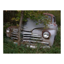 Not Going Anywhere posters by donnythed Not Going Anywhere posters