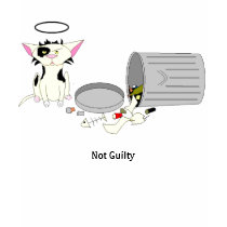 Not Guilty t-shirts