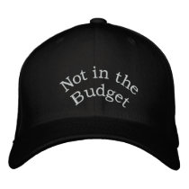 Not in the Budget_ Embroidered Hat_by Elenne