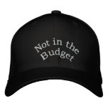 Not in the Budget_ Embroidered Hat_by Elenne
