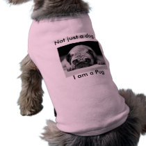 Not just a dog pet clothing by chimpfroggy Not just a dog pet clothing