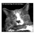 Not Morning posters by TheMoopies Not Morning posters