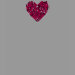 Ladies Petite T-Shirt