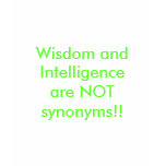NOT synonyms t-shirts