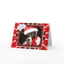 Not The Hat `n Scarf Again cards