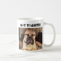Not Today Coffee Mugs