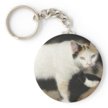 Not Very Friendly Cat Que Me Ves keychains