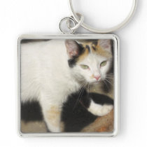 Not Very Friendly Cat Que Me Ves keychains