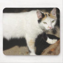 Not Very Friendly Cat Que Me Ves mousepads