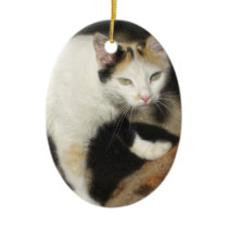 Not Very Friendly Cat Que Me Ves ornaments