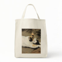 Not Very Friendly Cat Stretch bags