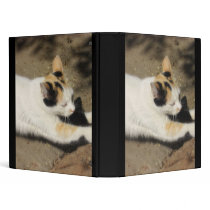 Not Very Friendly Cat Stretch binders