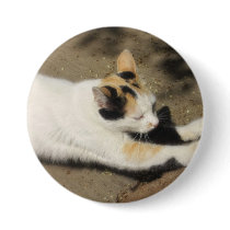 Not Very Friendly Cat Stretch buttons