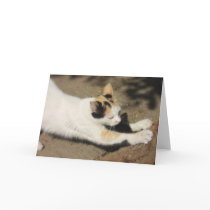 Not Very Friendly Cat Stretch cards