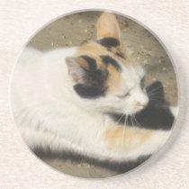 Not Very Friendly Cat Stretch coasters
