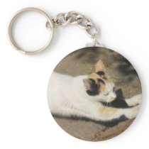 Not Very Friendly Cat Stretch keychains