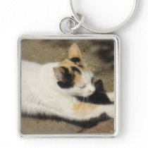 Not Very Friendly Cat Stretch keychains