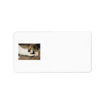 Not Very Friendly Cat Stretch labels