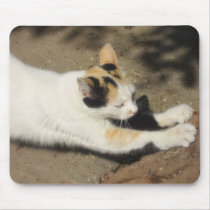 Not Very Friendly Cat Stretch mousepads
