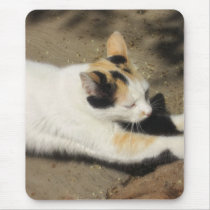Not Very Friendly Cat Stretch mousepads