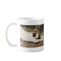 Not Very Friendly Cat Stretch mugs