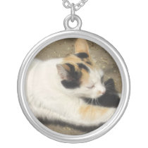 Not Very Friendly Cat Stretch necklaces