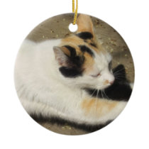 Not Very Friendly Cat Stretch ornaments