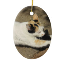 Not Very Friendly Cat Stretch ornaments