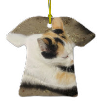 Not Very Friendly Cat Stretch ornaments
