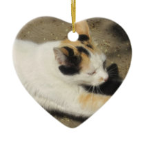 Not Very Friendly Cat Stretch ornaments