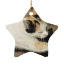 Not Very Friendly Cat Stretch ornaments