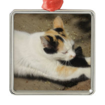 Not Very Friendly Cat Stretch ornaments