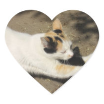 Not Very Friendly Cat Stretch stickers