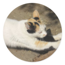 Not Very Friendly Cat Stretch stickers