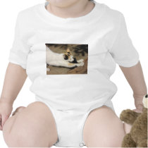 Not Very Friendly Cat Stretch t-shirts