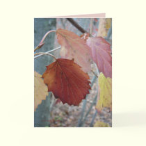 Not Yet Fallen cards by MoiraAshleigh Not Yet Fallen cards