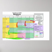 Notable Mutations by Genetic Code of Amino Acids Poster
