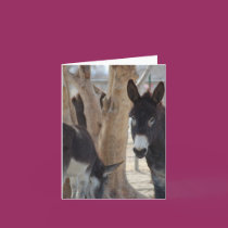 Note Card