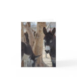 Note Card