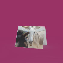 Note Card by HDLMSanctuary Note Card