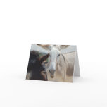 Note Card
